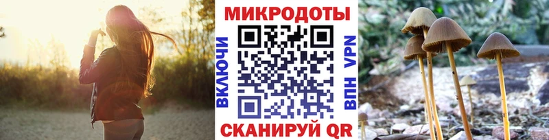 Купить Строитель Псилоцибиновые грибы GOLDEN TEACHER